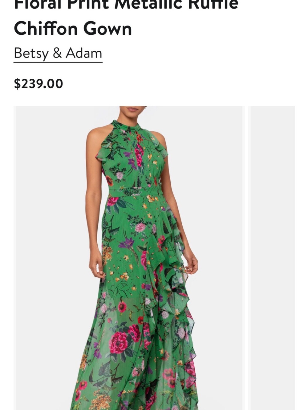 Betsy & Adam Green Floral Metallic Ruffle Chiffon Gown